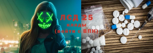 прущие грибы Абаза