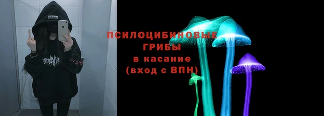 прущие грибы Абаза