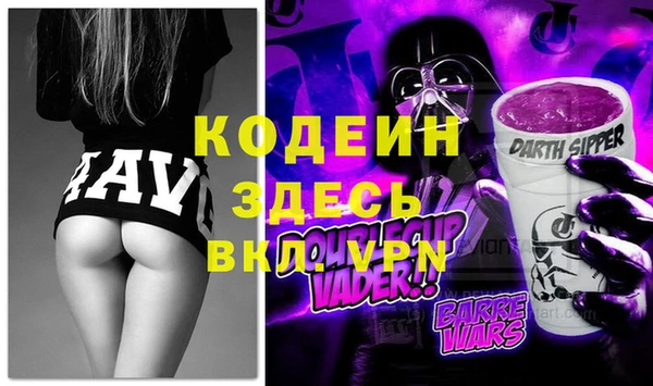 прущие грибы Абаза