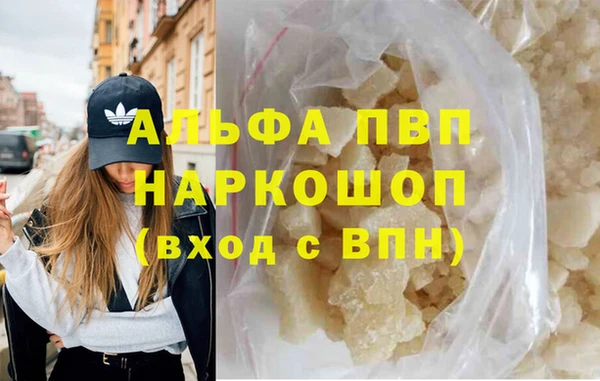 прущие грибы Абаза