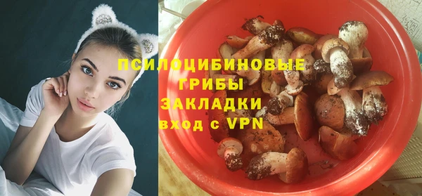 прущие грибы Абаза