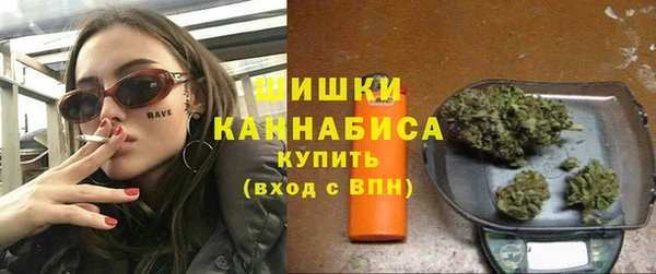 прущие грибы Абаза