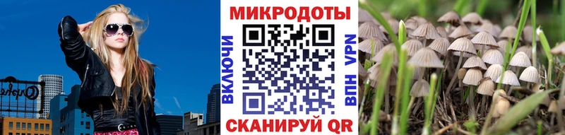 купить shop клад Галлюциногенные грибы Cubensis Орёл